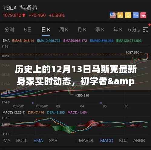 揭秘馬斯克最新身家動態，歷史上的12月13日追蹤詳解與初學者進階指南