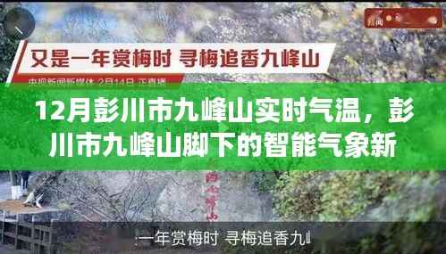 彭川市九峰山實時氣溫監測，智能氣象新紀元引領生活新風尚