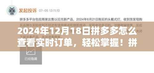 拼多多實時訂單查看指南，輕松掌握訂單動態（最新指南，適用于2024年12月）