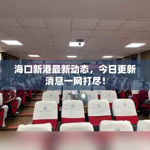 海口新港最新動態，今日更新消息一網打盡！