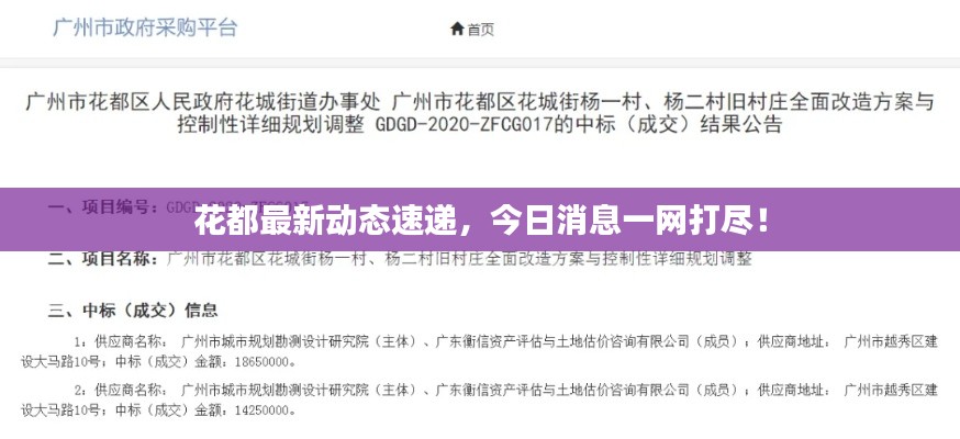 花都最新動態速遞，今日消息一網打盡！