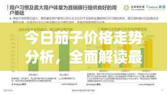 今日茄子價格走勢分析，全面解讀最新行情