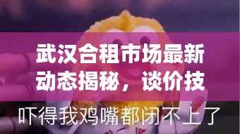 武漢合租市場最新動態揭秘，談價技巧與租房攻略分享