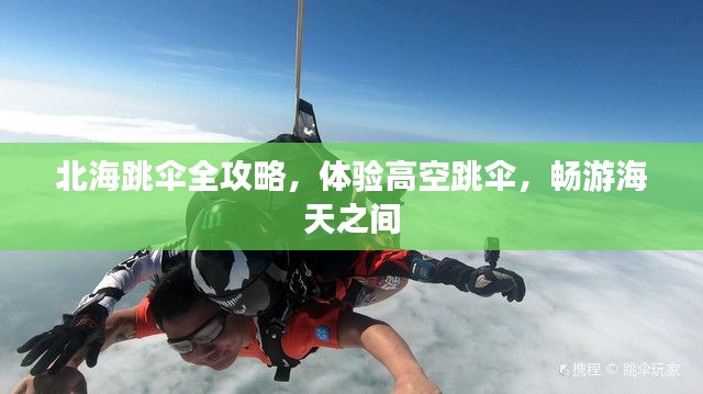 北海跳傘全攻略，體驗(yàn)高空跳傘，暢游海天之間
