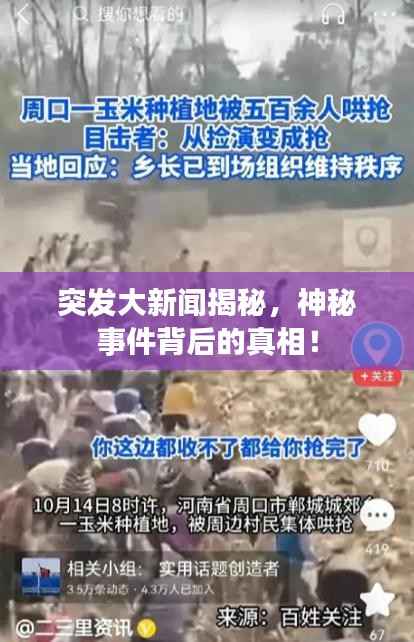 突發(fā)大新聞揭秘，神秘事件背后的真相！