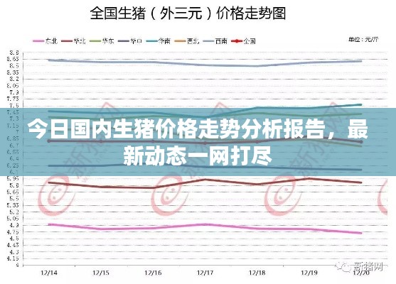 今日國內生豬價格走勢分析報告，最新動態一網打盡