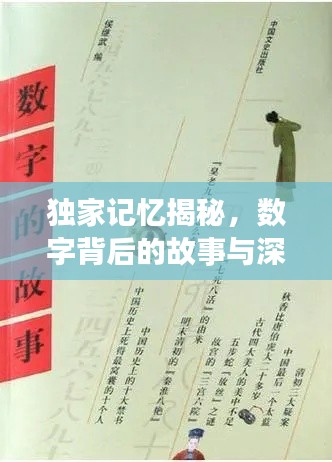 獨(dú)家記憶揭秘，數(shù)字背后的故事與深意探尋