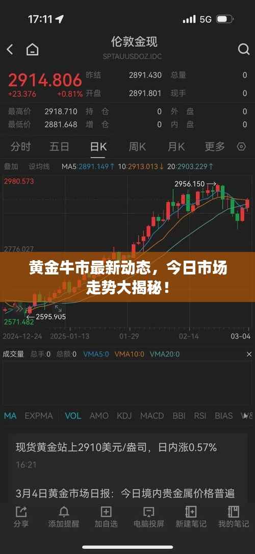 黃金牛市最新動(dòng)態(tài)，今日市場走勢大揭秘！