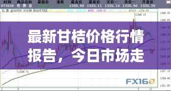 最新甘桔價(jià)格行情報(bào)告，今日市場走勢一網(wǎng)打盡！