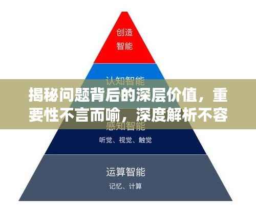 揭秘問題背后的深層價值，重要性不言而喻，深度解析不容錯過