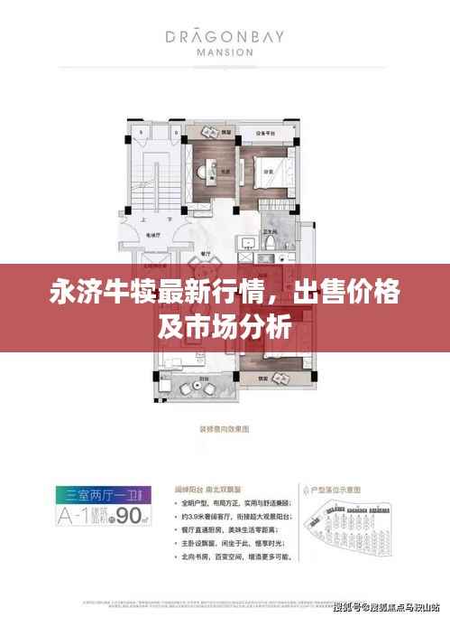 永濟牛犢最新行情，出售價格及市場分析