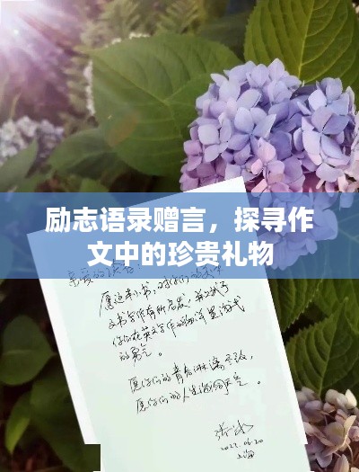 勵(lì)志語錄贈(zèng)言，探尋作文中的珍貴禮物