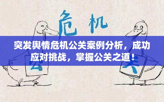 突發(fā)輿情危機(jī)公關(guān)案例分析，成功應(yīng)對(duì)挑戰(zhàn)，掌握公關(guān)之道！