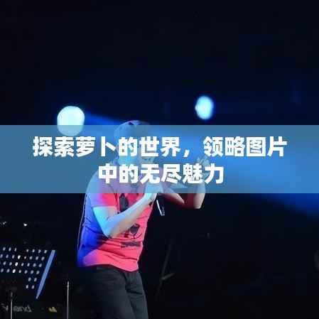 探索蘿卜的世界，領(lǐng)略圖片中的無(wú)盡魅力