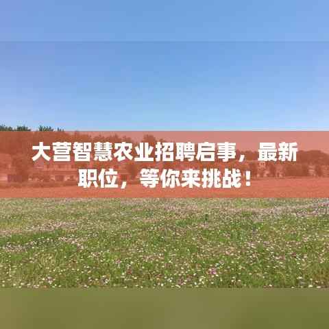 大營智慧農業招聘啟事，最新職位，等你來挑戰！